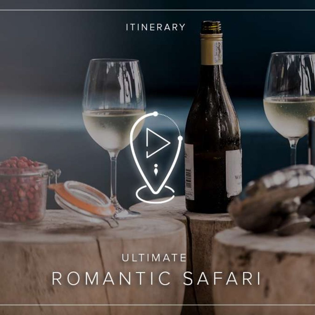 The Ultimate Romantic Safari: Botswana and Namibia