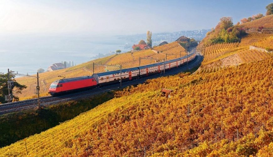 Ultimate Travel Savings