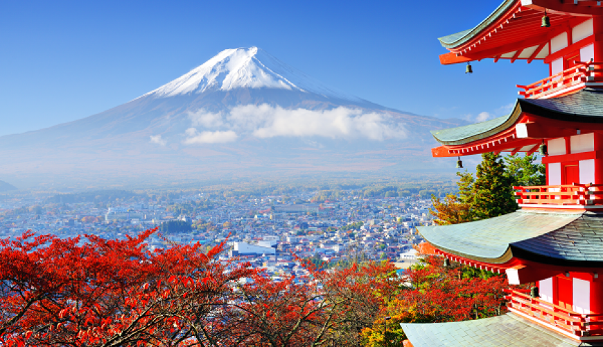 Ultimate Travel Savings